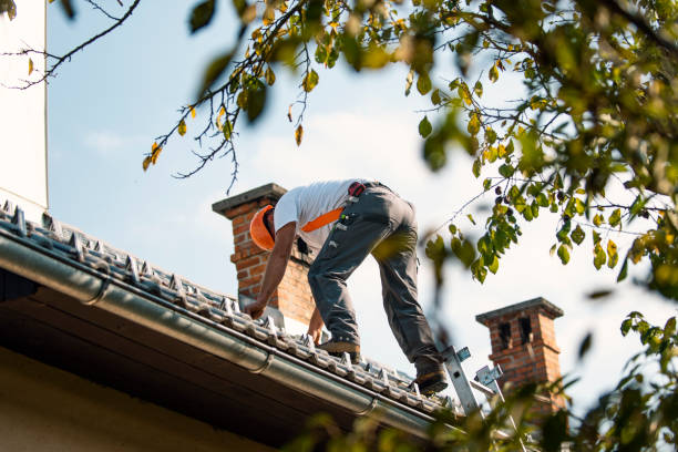 Best Roof Gutter Cleaning  in Oakland, TN