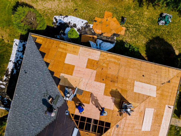 Best Commercial Roofing Services  in Oakland, TN