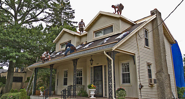 Best Gutter Installation and Roofing  in Oakland, TN